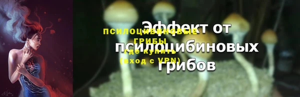 бошки Абинск