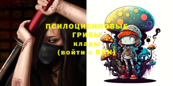 бошки Абинск