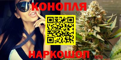 эйфоретик Кимры