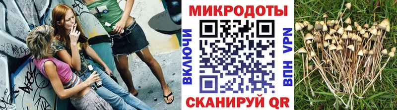 Псилоцибиновые грибы Magic Shrooms  Красный Сулин 