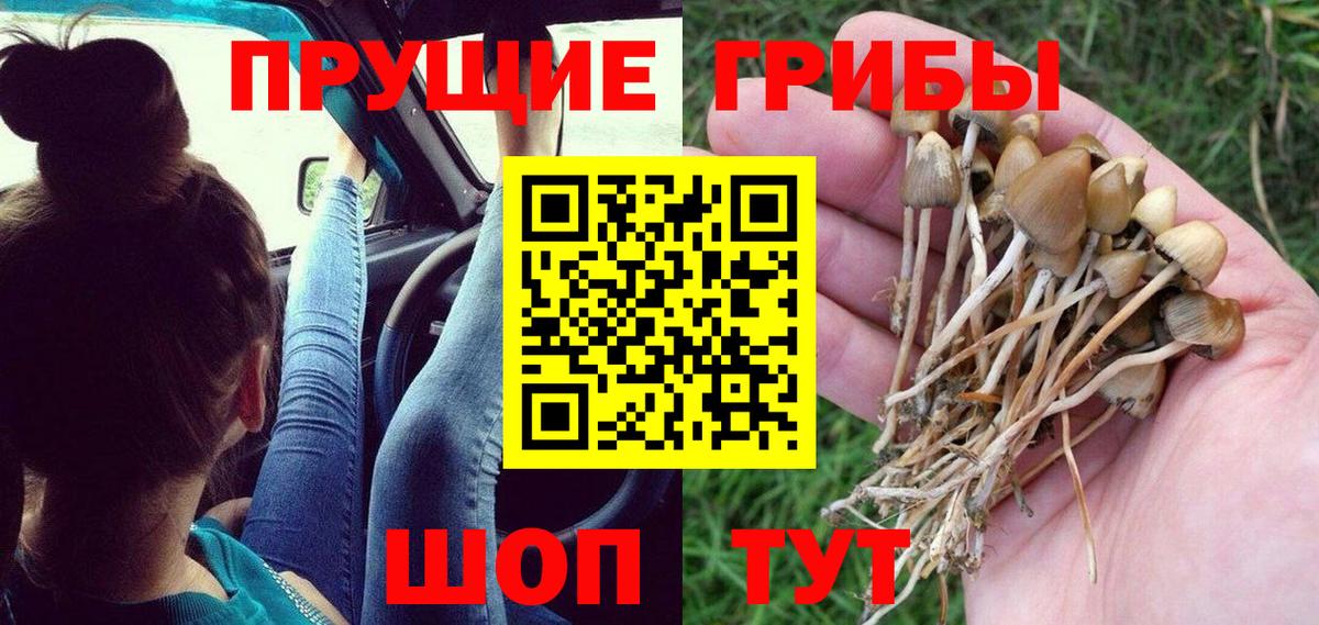 Красный Сулин  Псилоцибиновые грибы Magic Shrooms  Вход с VPN 